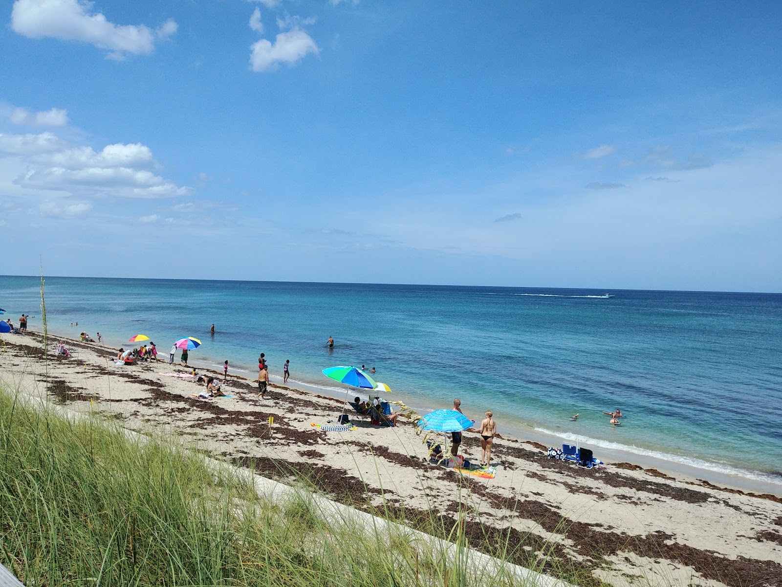 Lantana Municipal beach'in fotoğrafı imkanlar alanı