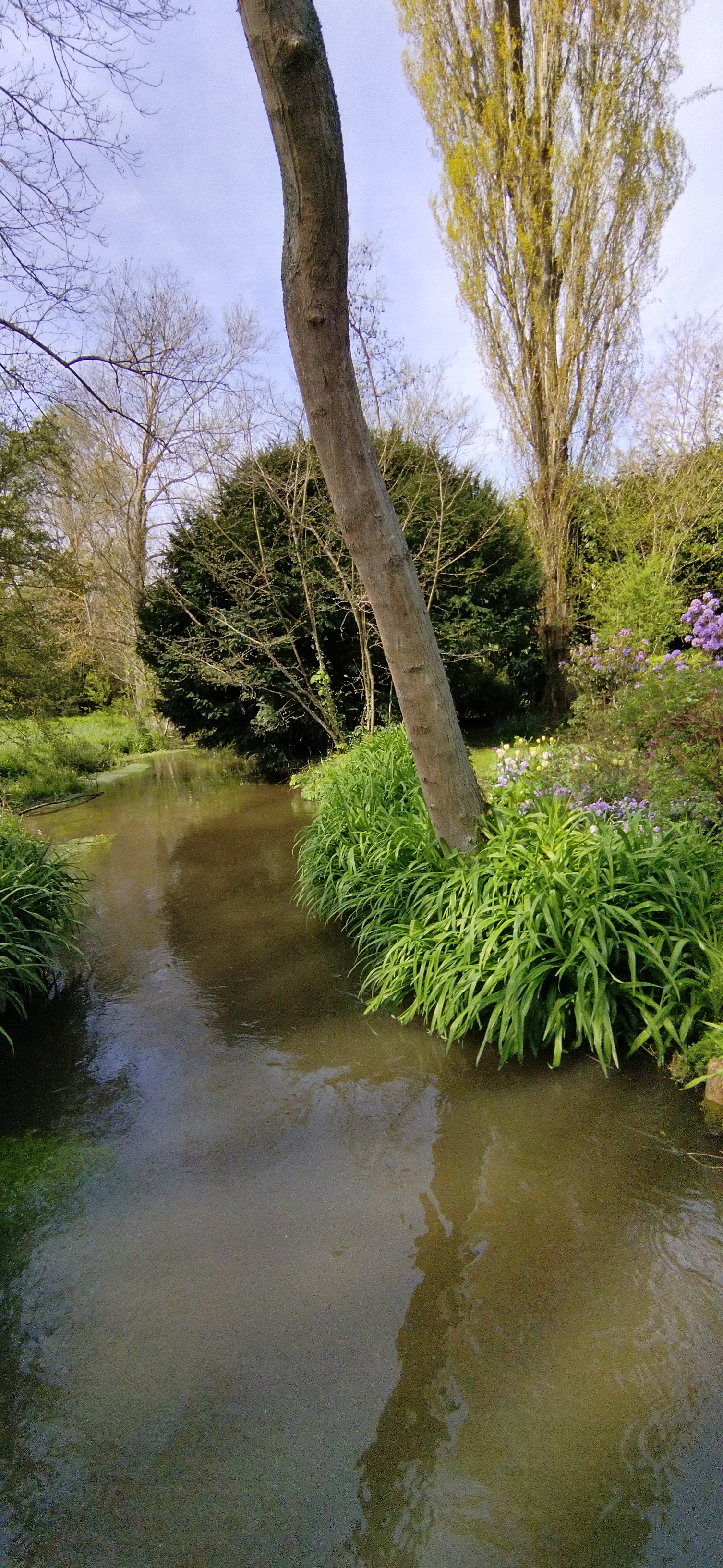 Photo n° 24 de l'avis de PHILIPPOT.a fait le 16/04/2023 à 17:54