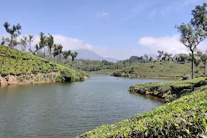 Anayirankal Dam image
