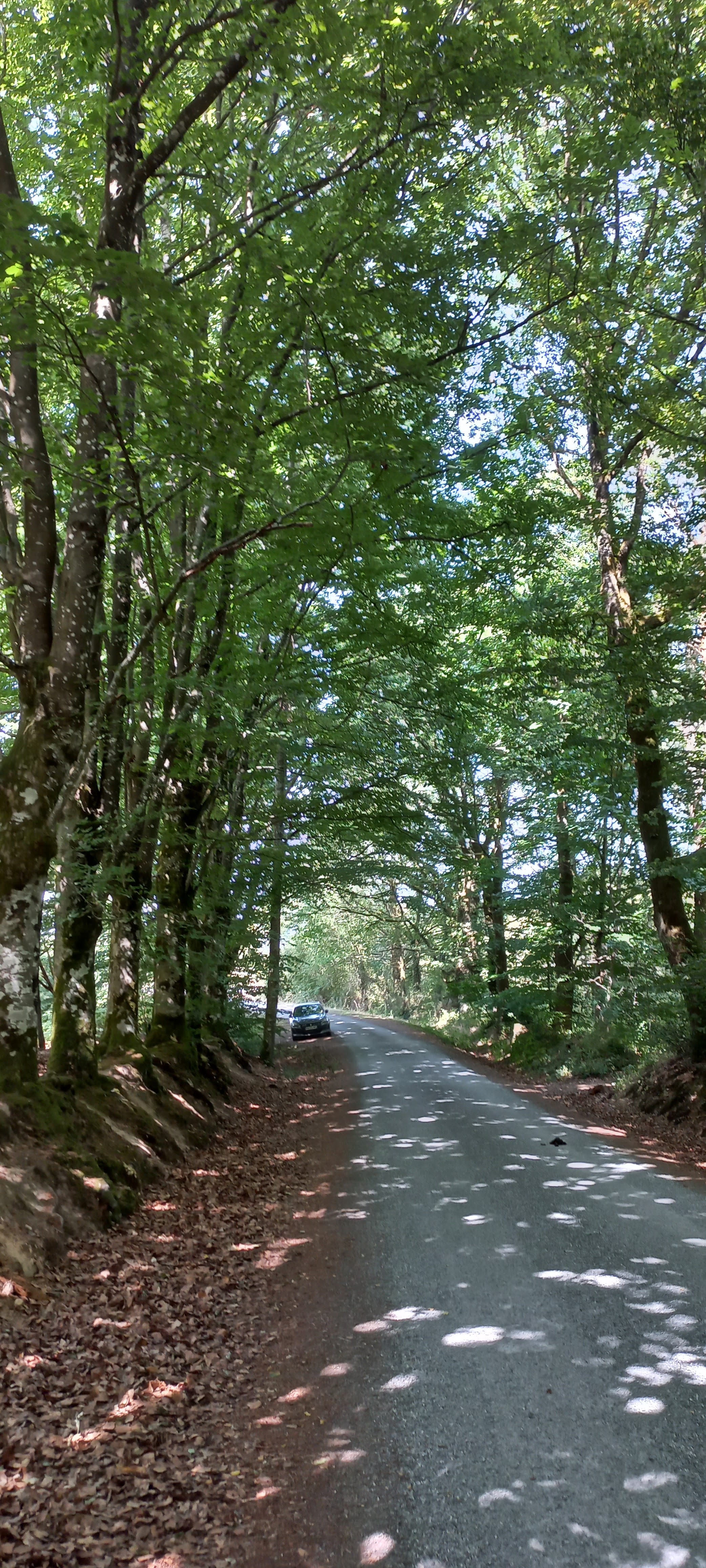 Photo n° 1 de l'avis de Françoise.o fait le 16/07/2022 à 21:19