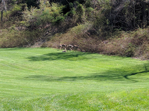 Golf Course «River Creek Club», reviews and photos, 43800 Olympic Blvd, Leesburg, VA 20176, USA