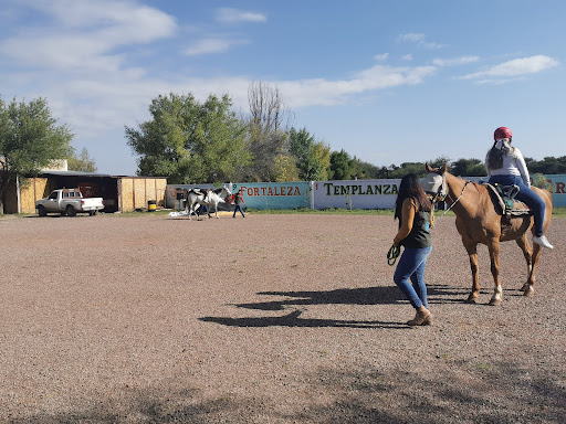 FINCA MADRESANTA