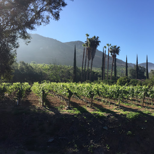 Winery «Keys Creek Winery», reviews and photos, 27118 N Broadway, Escondido, CA 92026, USA