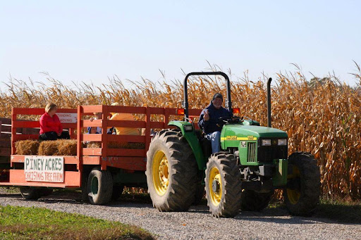 Christmas Tree Farm «Piney Acres», reviews and photos, 1115 E 1000 N, Fortville, IN 46040, USA