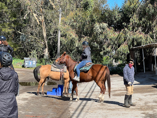 Horseback riding service Daly City