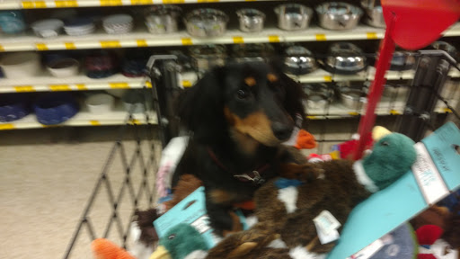 Pet Supply Store «PetSmart», reviews and photos, 534 US-441, Lady Lake, FL 32159, USA