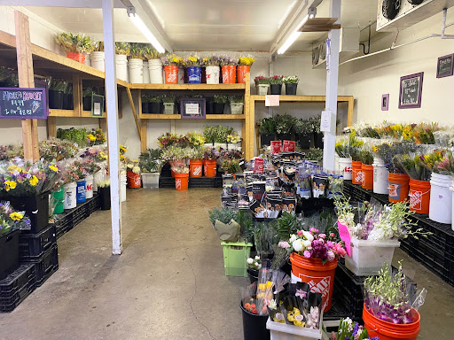 Florist «The Flowerman», reviews and photos, 70A Westpark Rd, Dayton, OH 45459, USA