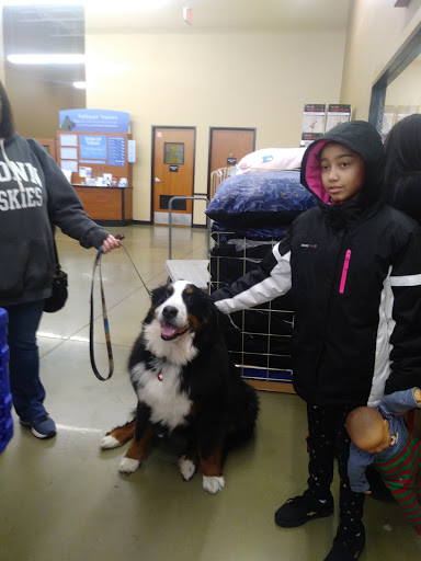 Supermarket «Best Market West Babylon South», reviews and photos, 531 Montauk Hwy, West Babylon, NY 11704, USA