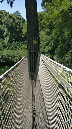 Recreation Center «Go Ape Zip Line & Treetop Adventure - Creve Coeur Park», reviews and photos, 13219 Streetcar Dr, Maryland Heights, MO 63043, USA