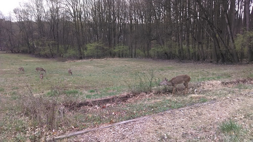 Nature Preserve «Woodend Sanctuary», reviews and photos, 8940 Jones Mill Rd, Chevy Chase, MD 20815, USA