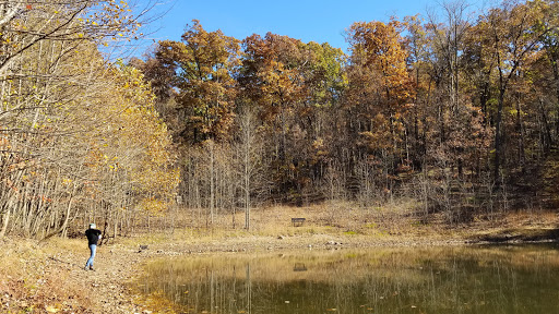Nature Preserve «Boyd Big Tree Preserve Conservation Area», reviews and photos, Fishing Creek Valley Rd, Harrisburg, PA 17112, USA