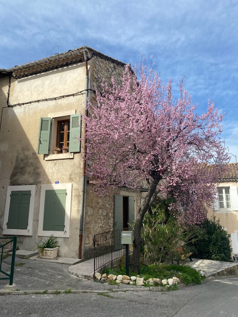 Photo n° 2 de l'avis de Pat.o fait le 18/03/2024 à 19:41