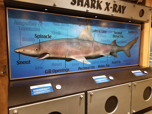 Shopping Mall «Newport on the Levee», reviews and photos, 1 Levee Way, Newport, KY 41071, USA