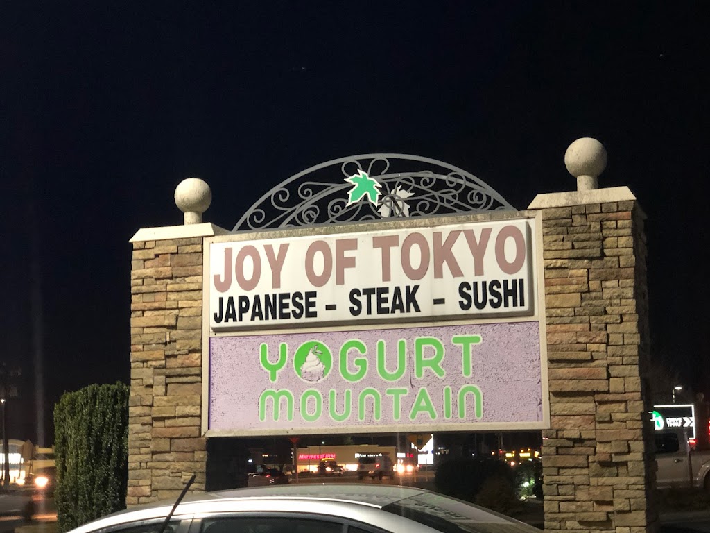 Joy of Tokyo 29609