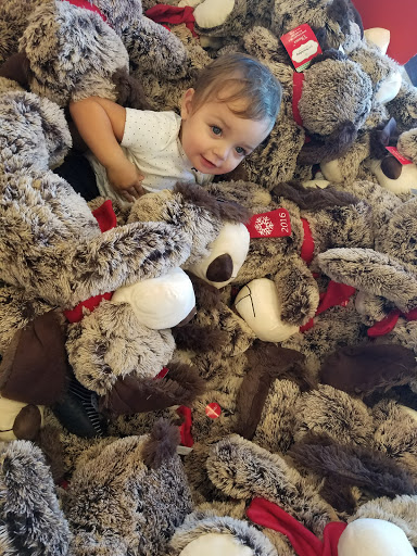 Pet Supply Store «PetSmart», reviews and photos, 1220 N Eagle Rd, Meridian, ID 83642, USA