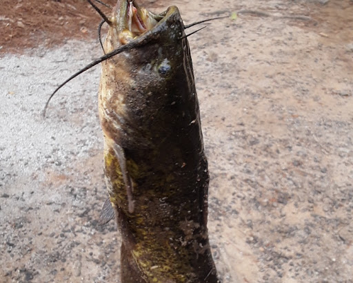 Community Center «Shamrock Community Use Building», reviews and photos, 2610 Shamrock Rd, Jonesboro, GA 30236, USA