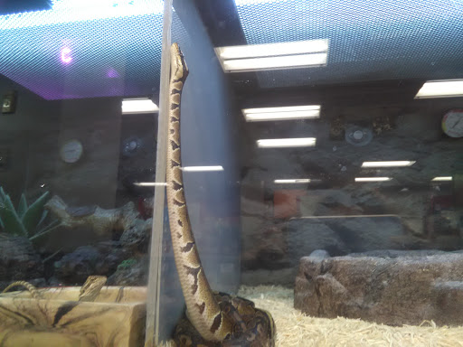 Pet Supply Store «Petco Animal Supplies», reviews and photos, 1150 El Camino Real #167, San Bruno, CA 94066, USA