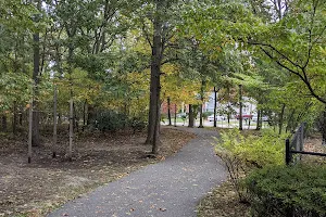 Robert J. Henke Nature Preserve Passive Park image