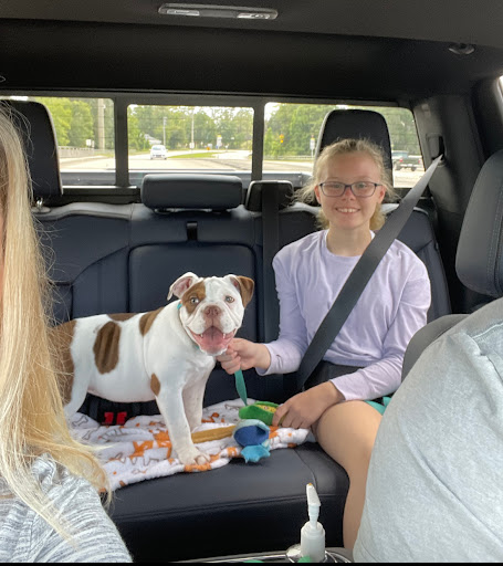 Pet Supply Store «Petco Animal Supplies», reviews and photos, 1514 Country Road 220, Fleming Island, FL 32003, USA