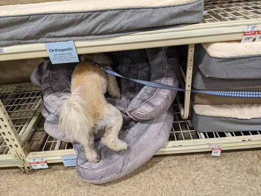 Pet Supply Store «PetSmart», reviews and photos, 849 E 23rd St, Panama City, FL 32405, USA