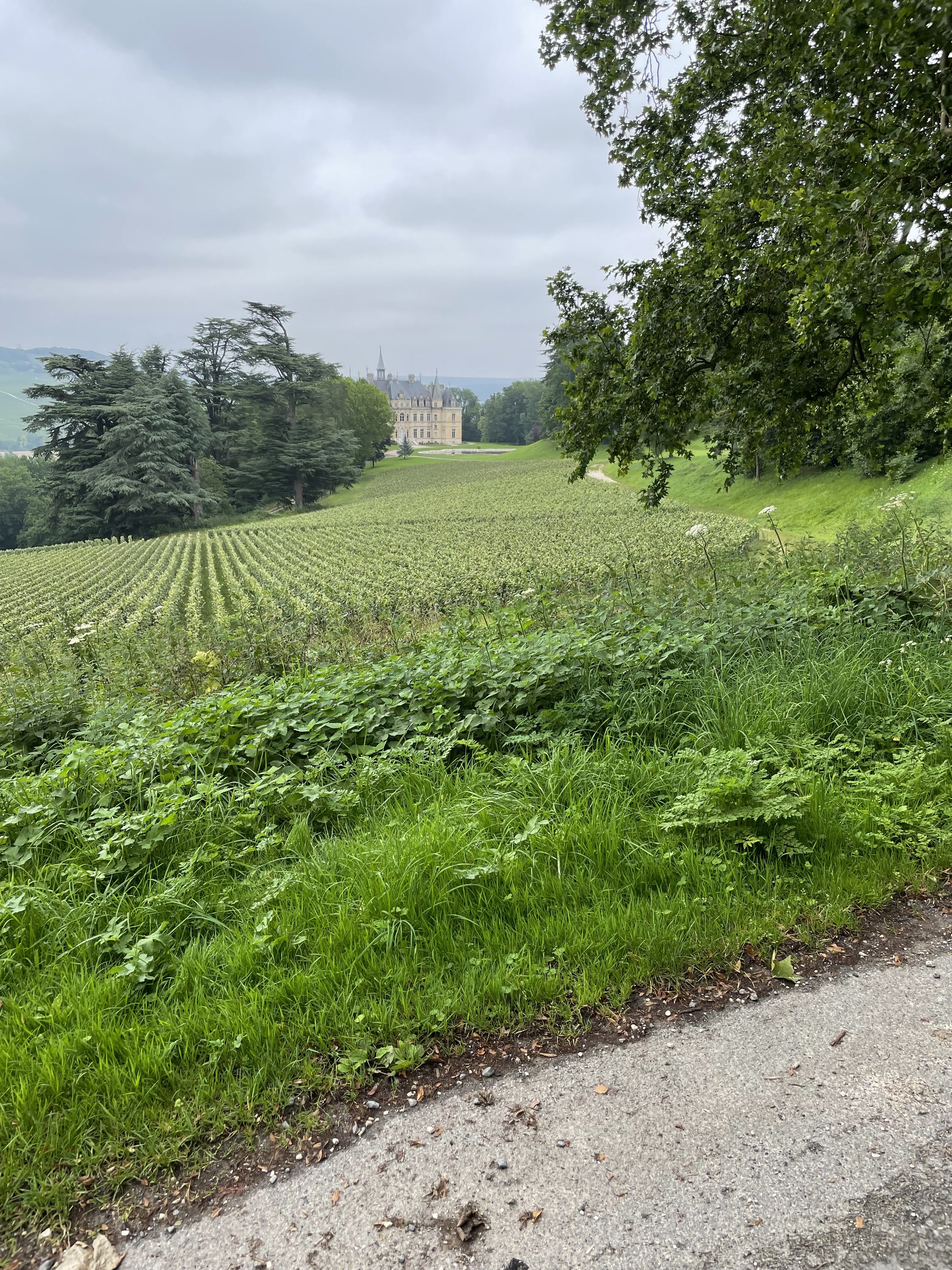 Photo n° 4 de l'avis de Ida.o fait le 10/09/2021 à 15:45