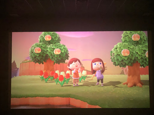 Movie Theater «Cinemark Sunrise Mall and XD», reviews and photos, 2370 N Expy, Brownsville, TX 78521, USA