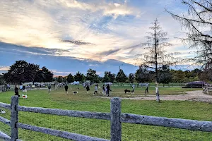 L’Amoreaux Off-Leash Dog Park image