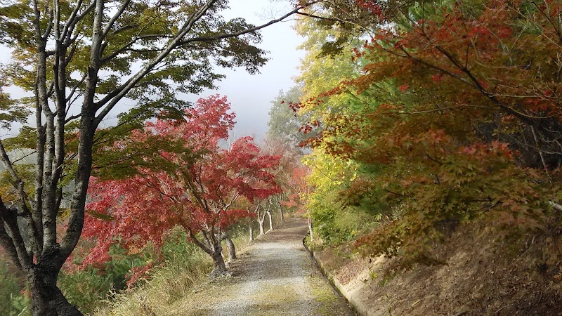 高梁自然公園