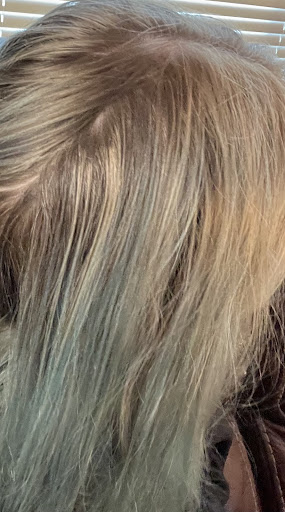 Beauty Salon «Bocci Salon & Spa», reviews and photos, 13800 Canal Rd, Sterling Heights, MI 48313, USA