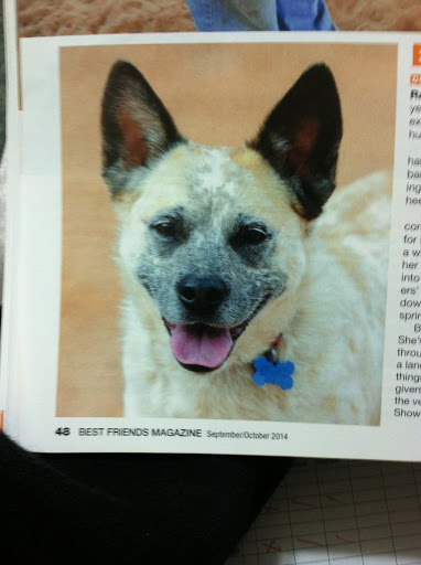 Pet Supply Store «Skyway Feed & Pet Supply Inc», reviews and photos, 677 Birch St, Paradise, CA 95969, USA