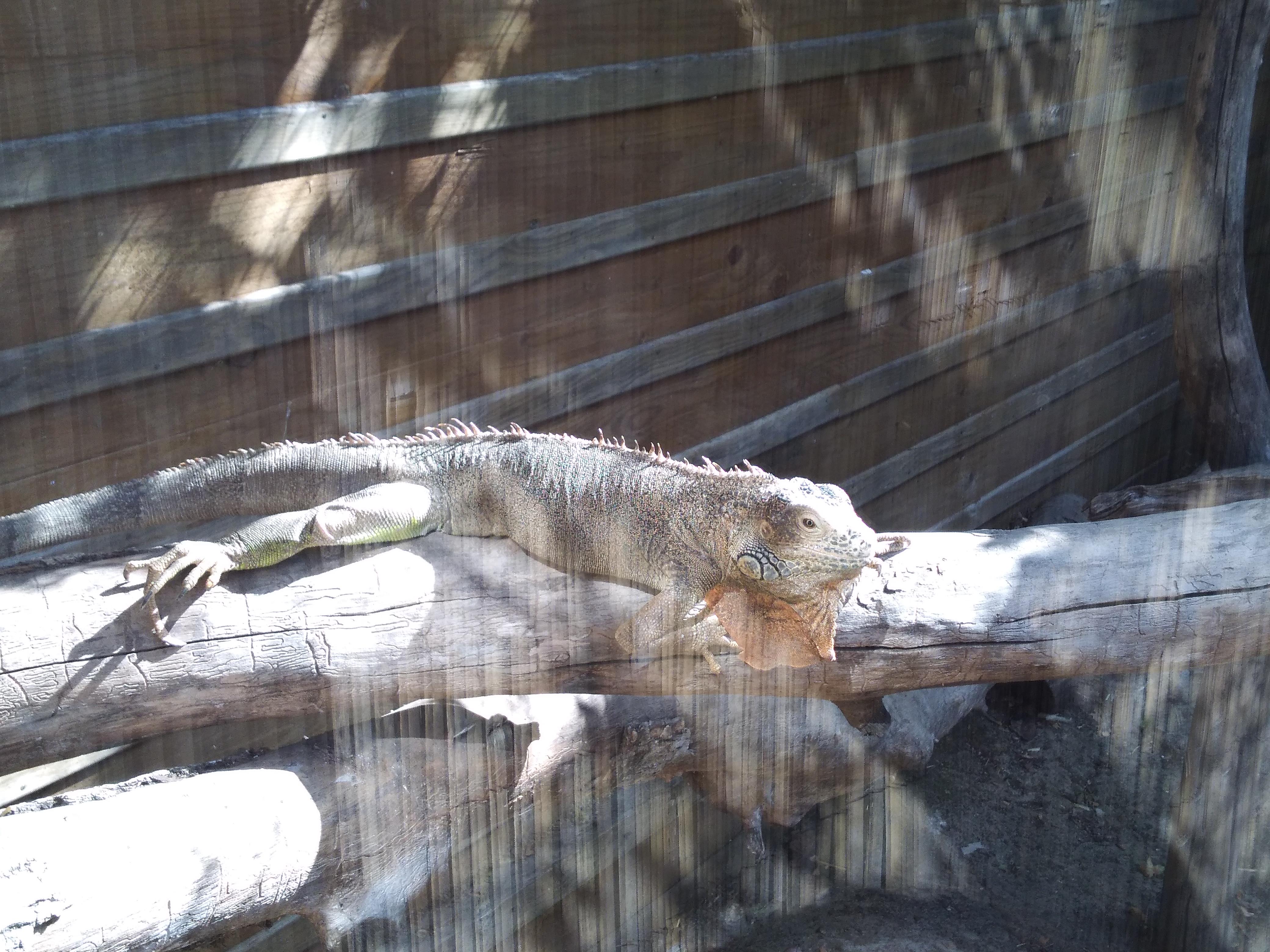 Photo n° 1 de l'avis de Cynthia.l fait le 23/08/2019 à 09:52