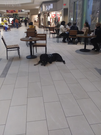 Department Store «Nordstrom», reviews and photos, 2901 S Capital of Texas Hwy, Austin, TX 78746, USA