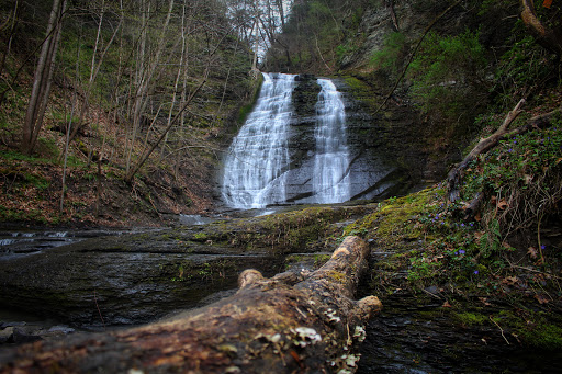 Nature Preserve «Sweedler and Thayer Preserves», reviews and photos, 10 Townline Rd, Ithaca, NY 14850, USA