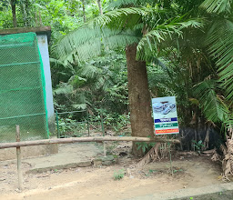 Tilagarh Eco Park photo