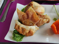 Dumpling du Restaurant de cuisine fusion asiatique Yang Xi Cuisine Indochinoise à Castelnau-d'Estrétefonds - n°4