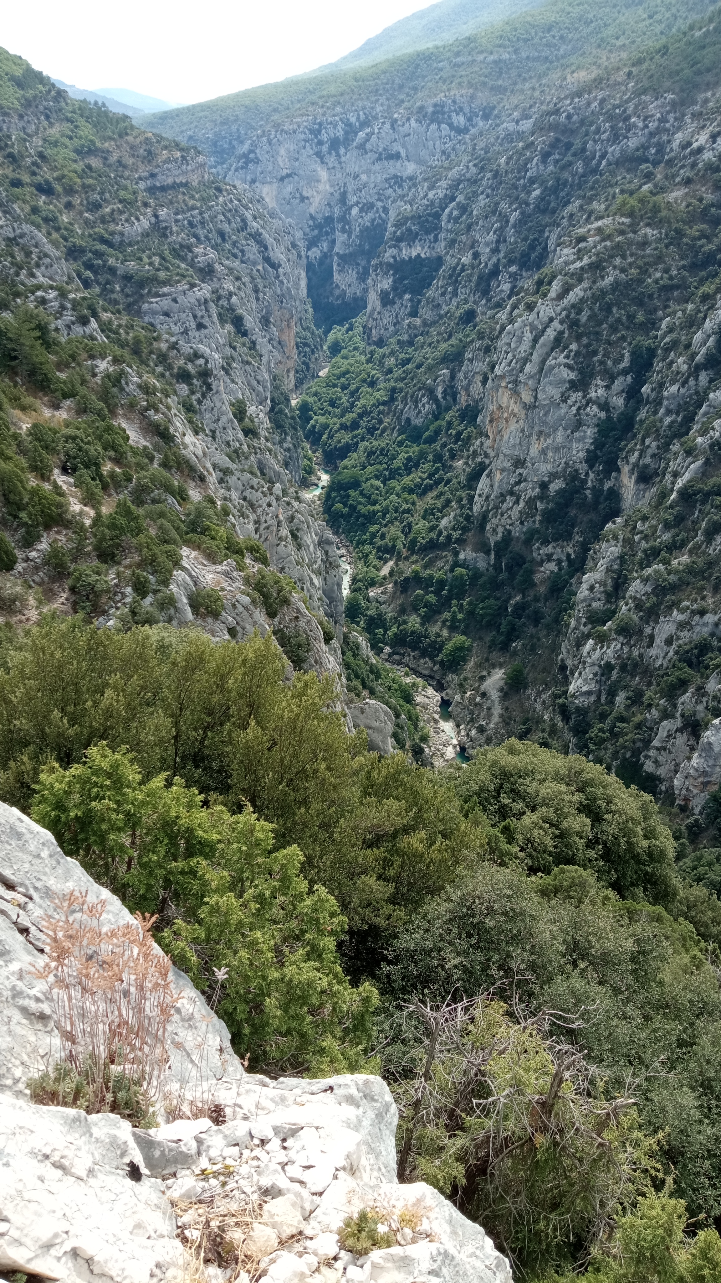 Photo n° 3 de l'avis de Chrystelle. fait le 01/09/2022 à 15:38
