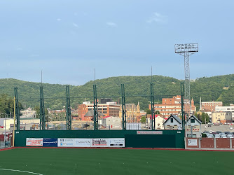 Sargent's Stadium at the Point