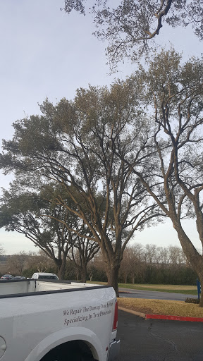 Insurance Agency «Texas Farm Bureau Insurance», reviews and photos