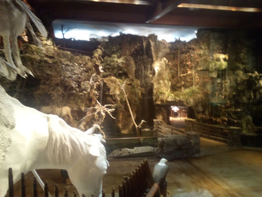 Sporting Goods Store «Bass Pro Shops Base Camp», reviews and photos, 2500 E Kearney St, Springfield, MO 65803, USA