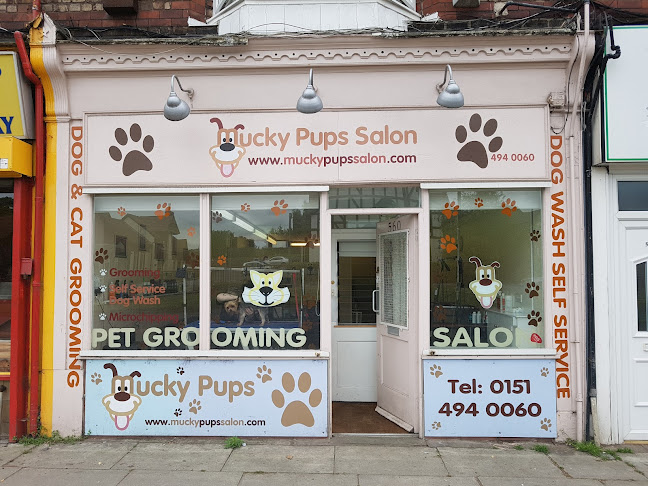 Reviews of Mucky Pups Dog Grooming Liverpool in Liverpool - Dog trainer
