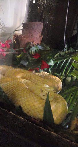 Pet Store «Off The Hook Exotics Pet Shop», reviews and photos, 926 5th Ave, Coraopolis, PA 15108, USA