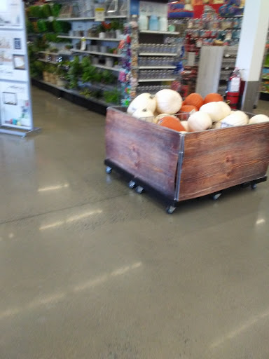 Craft Store «Michaels», reviews and photos, 261 University Ave, Westwood, MA 02090, USA