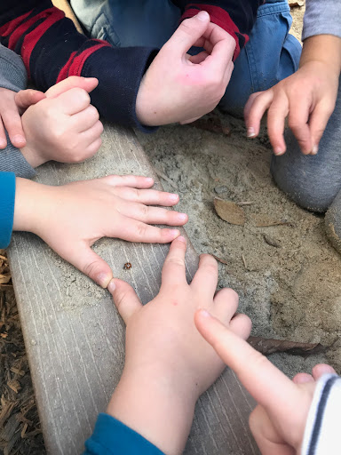 Garden Nursery School