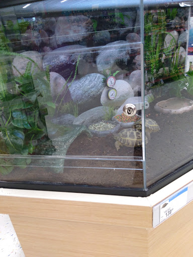 Pet Supply Store «Petco Animal Supplies», reviews and photos, 777 Stillwater Ave, Bangor, ME 04401, USA