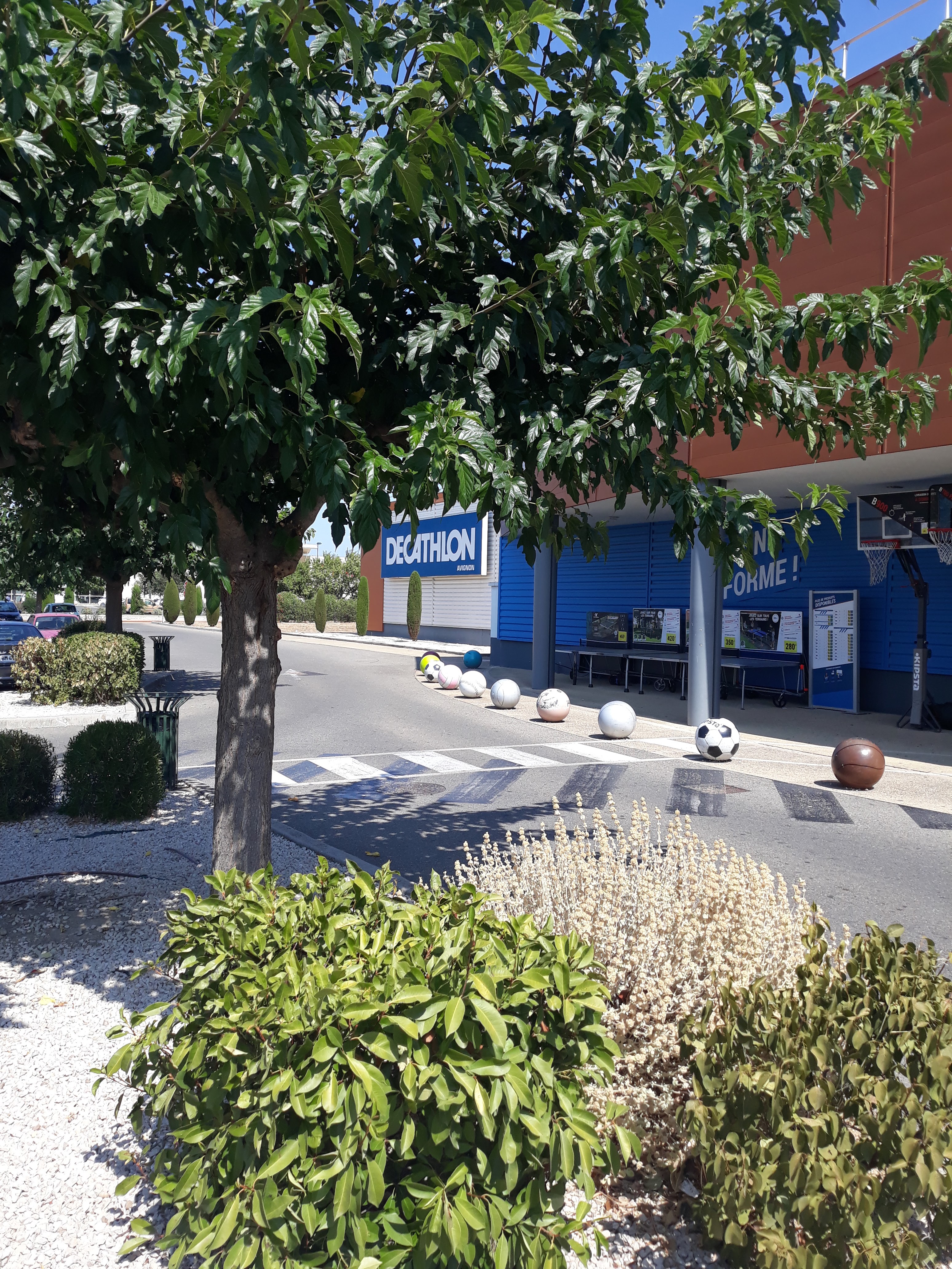 Photo n° 6 de l'avis de Thierry.a fait le 26/08/2019 à 20:39
