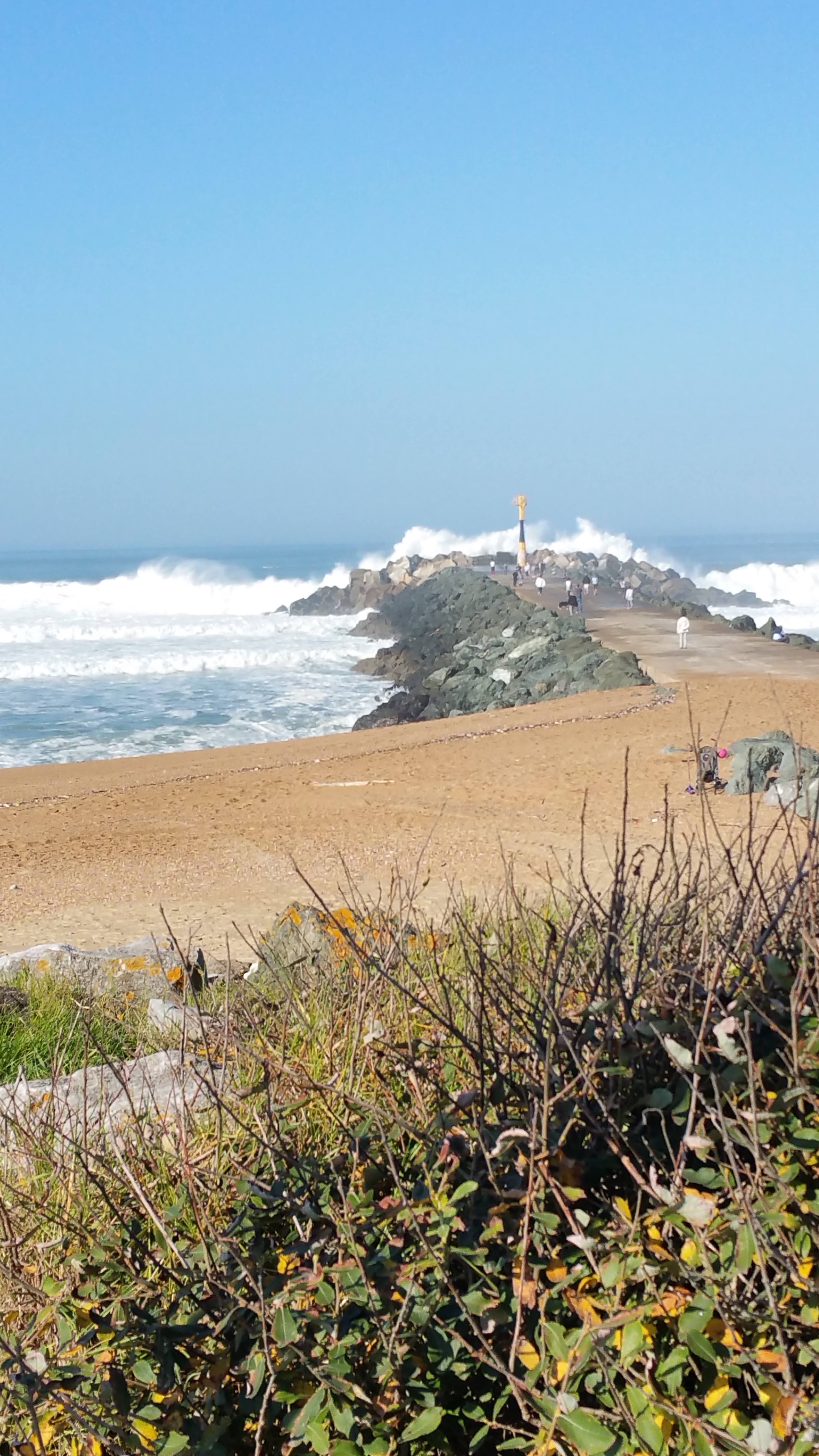 Photo n° 1 de l'avis de erwan.r fait le 17/08/2018 à 08:52