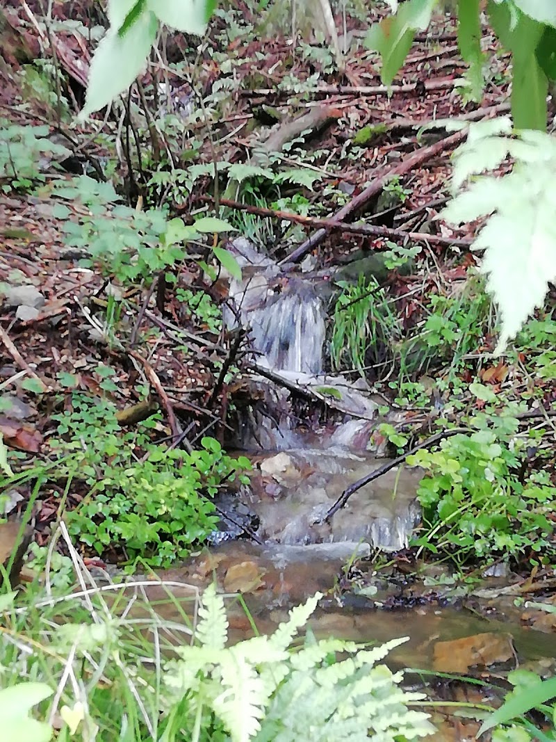 皆沢湧水地