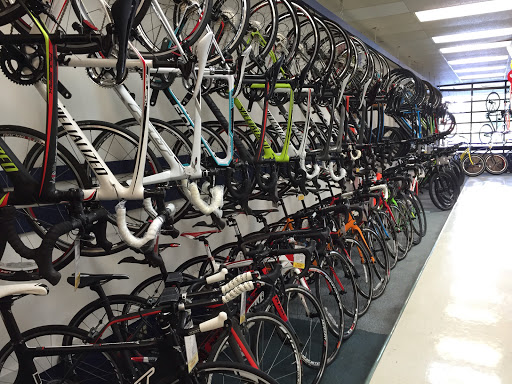 Bicycle Store «Chainwheel Drive», reviews and photos, 32796 US Hwy 19 N, Palm Harbor, FL 34684, USA