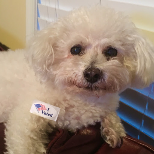 Insurance Agency «Allstate Insurance Agent: Anna Maria Chiaverini», reviews and photos