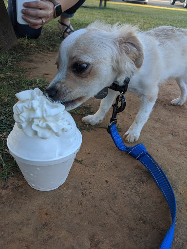 Ice Cream Shop «Shivers Natural Snow», reviews and photos, 5651 US-259, Longview, TX 75605, USA